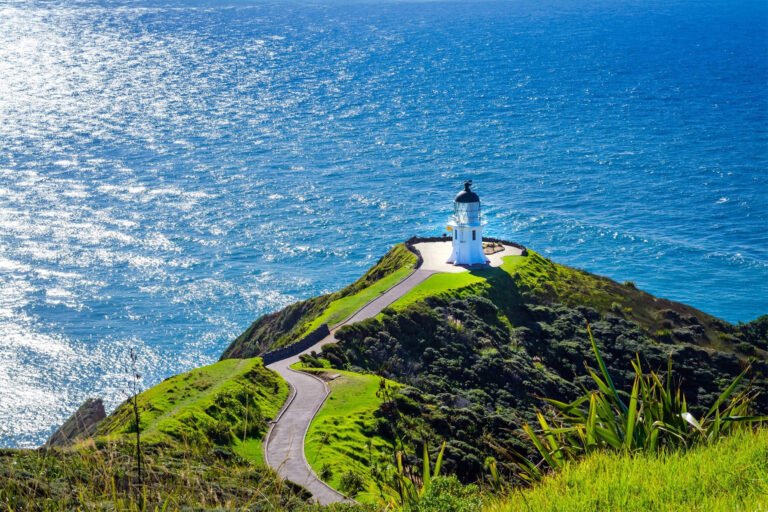 cape reinga tour northland 768x512