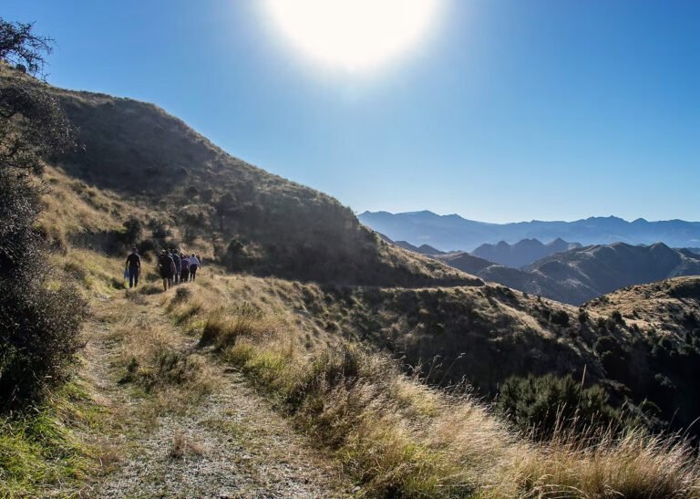 glencree estate guided walk kaikoura ranges 768x547