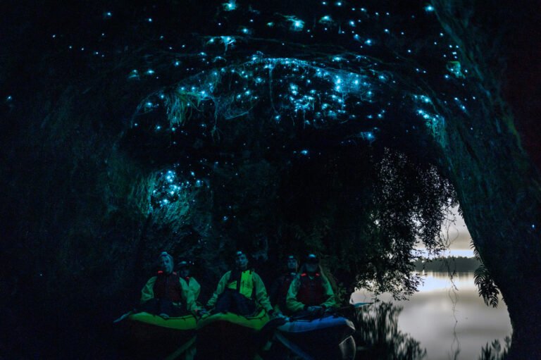 glow worm kayak tour rotorua night cave 768x511