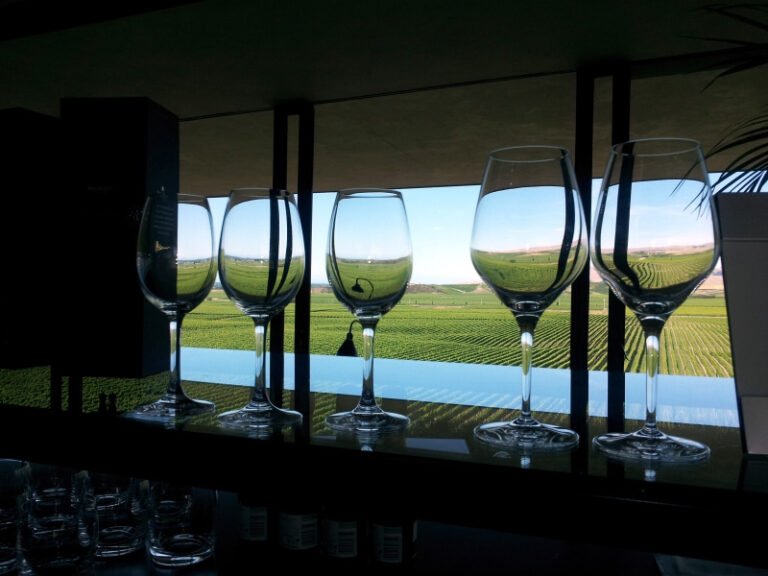 marlborough vineyard wine views 768x576
