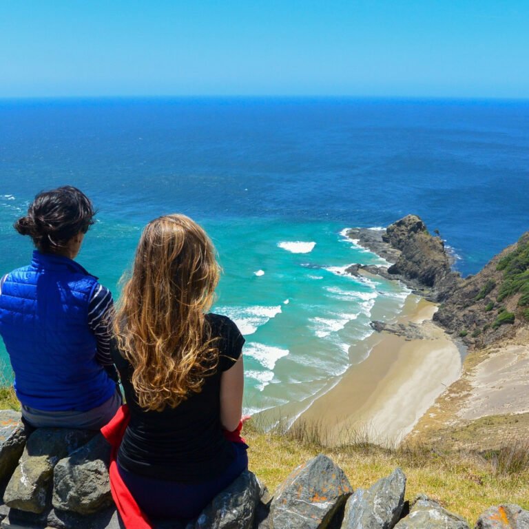 northland coastal sightseeing tour 768x768