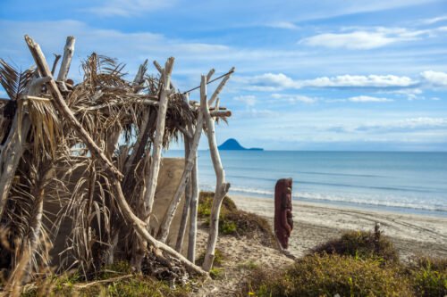 Bay of Plenty coastal beach scenery during a North Island road trip