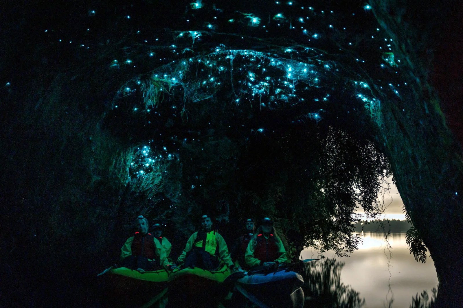 Rotorua glow worm kayak tour Bay of Plenty at night with Taiao Adventures