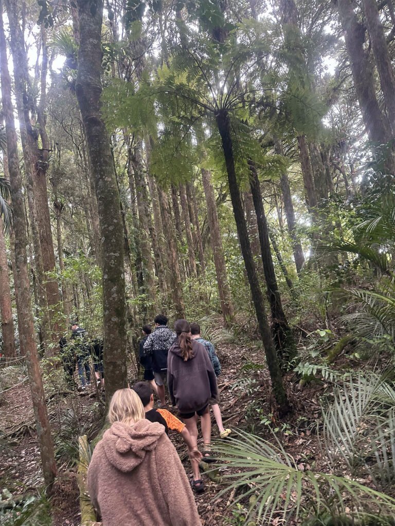 school camp activities northland 1 768x1024