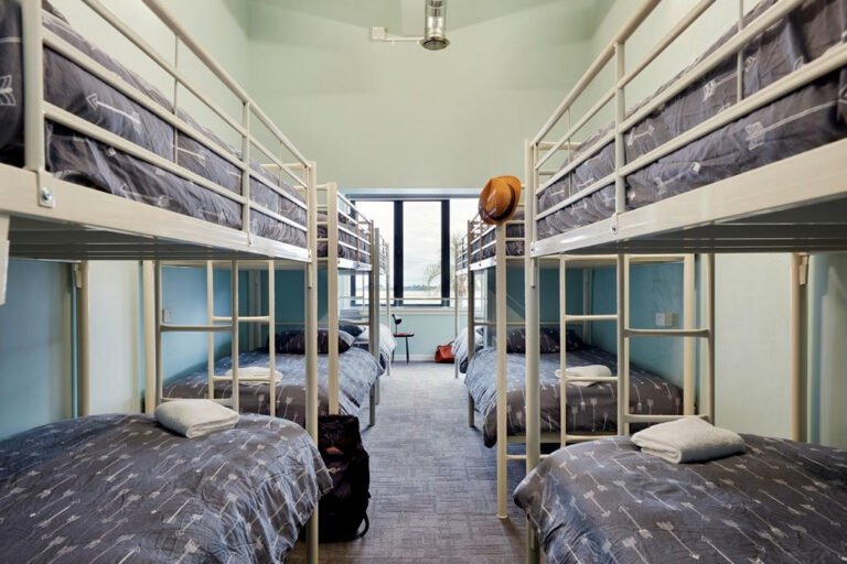 tauranga backpackers dorm room wanderlust 768x512