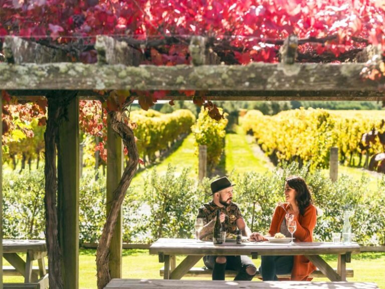 vineyard lunch marlborough wine tour 768x576