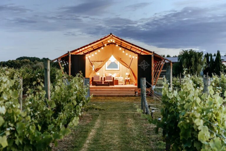 vineyard safari tent hawkes bay 768x512