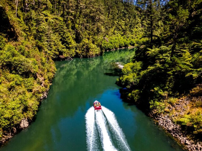 bay of plenty jet boat tours motu river jet 768x576