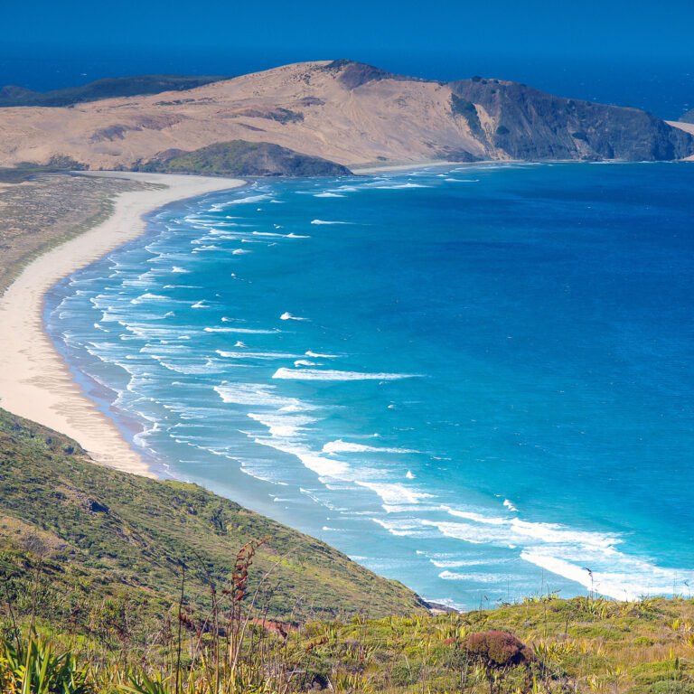 cape reinga far north tour 768x768