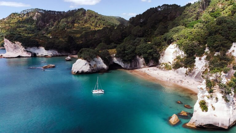 cathedral cove sailing tour coromandel 768x432