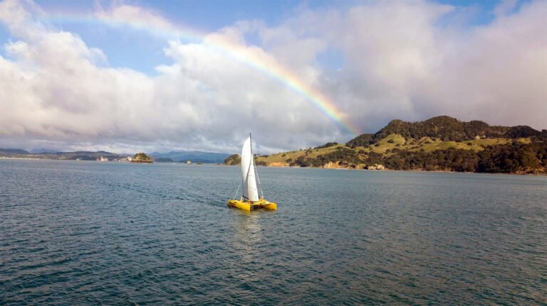 coromandel catamaran sailing adventure 768x431