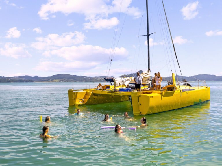 coromandel catamaran swimming stop 768x575