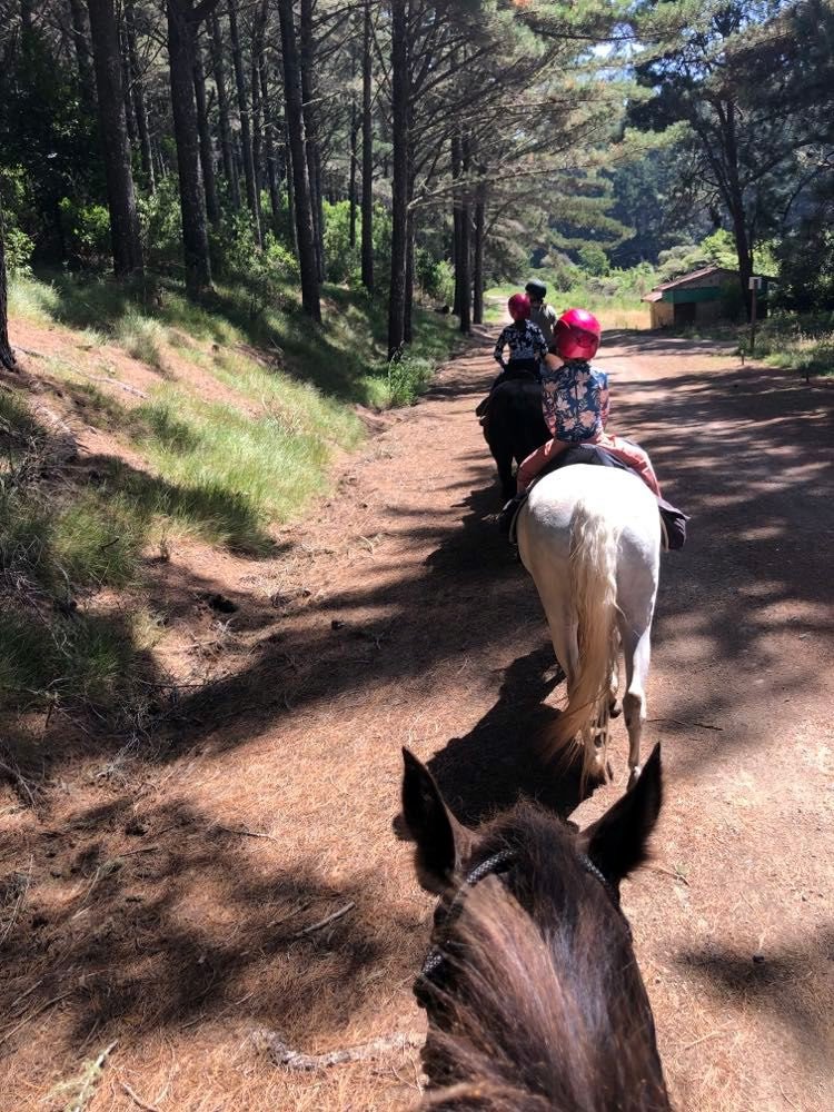 family horse riding bay of islands