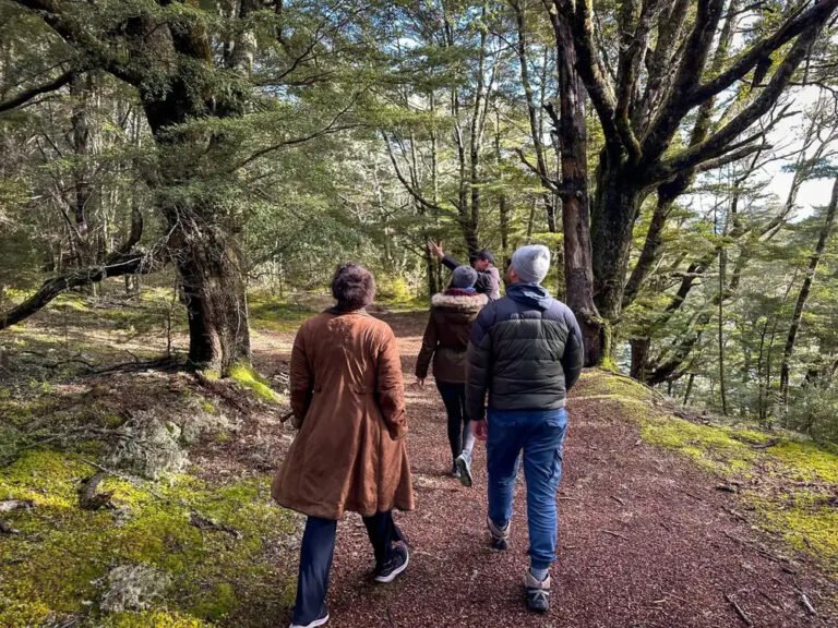 fangorn forest mavora lakes lord of the rings tour 768x576