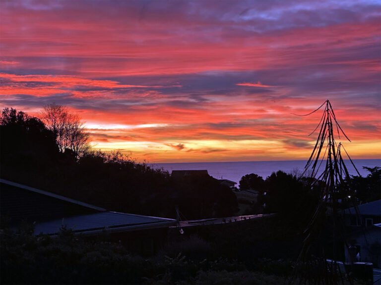 kaka point motel sunrise catlins 768x576