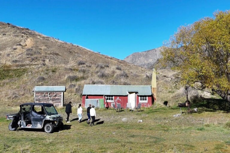 middlehurst station farm tour 768x512