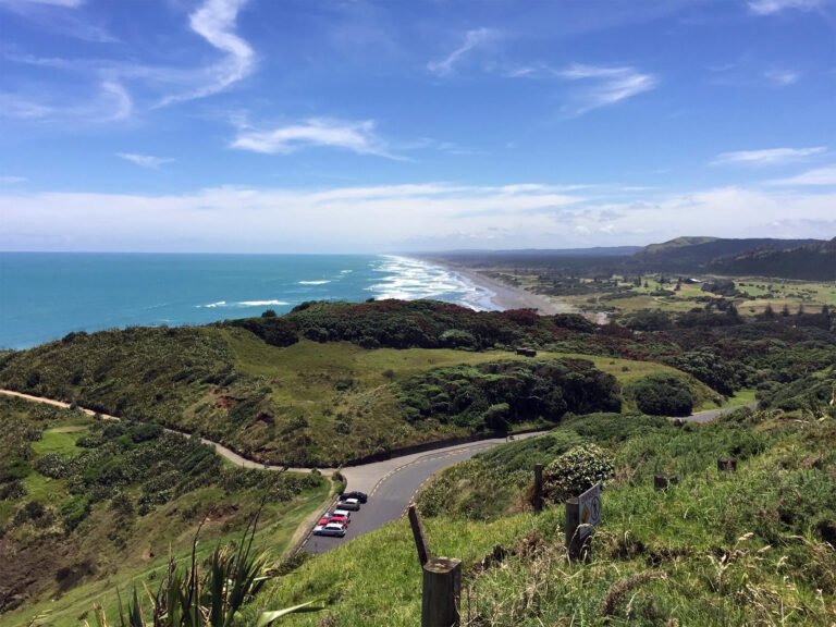 muriwai coast scenic wine tour 768x576