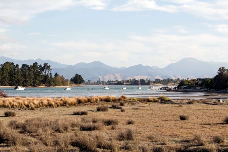 nelson tasman scenic day tour 768x511