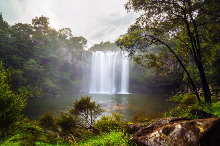 rainbow falls kerikeri tour 768x509