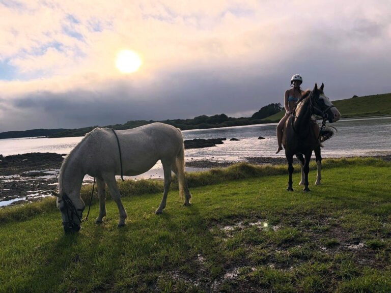 sunrise horse riding bay of islands 768x576