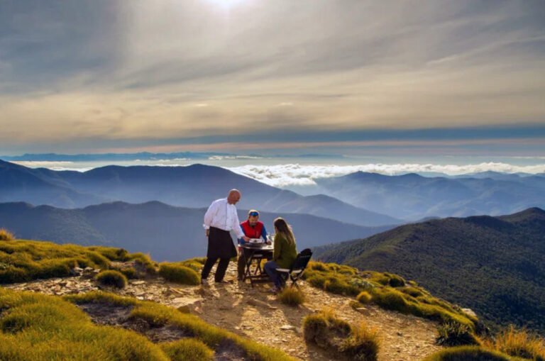 trips and transfers guided tours nelson lakes 768x509