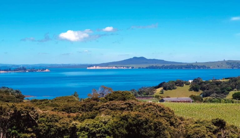 waiheke island wine tour vineyards 768x441