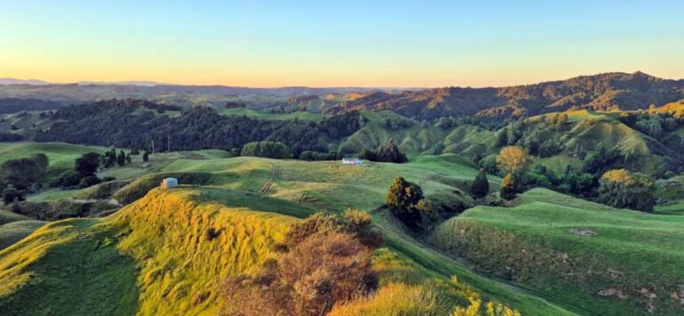 waikato farm stay rotowai hills sunset view 768x355