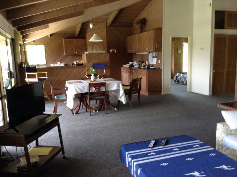 waiotemarama falls lodge fireplace lounge 1 768x573