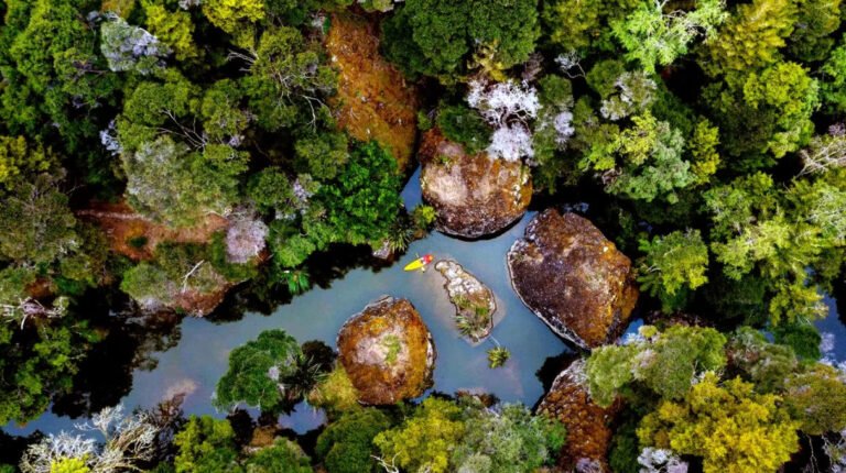 wairere boulders nature park hokianga camping 768x430
