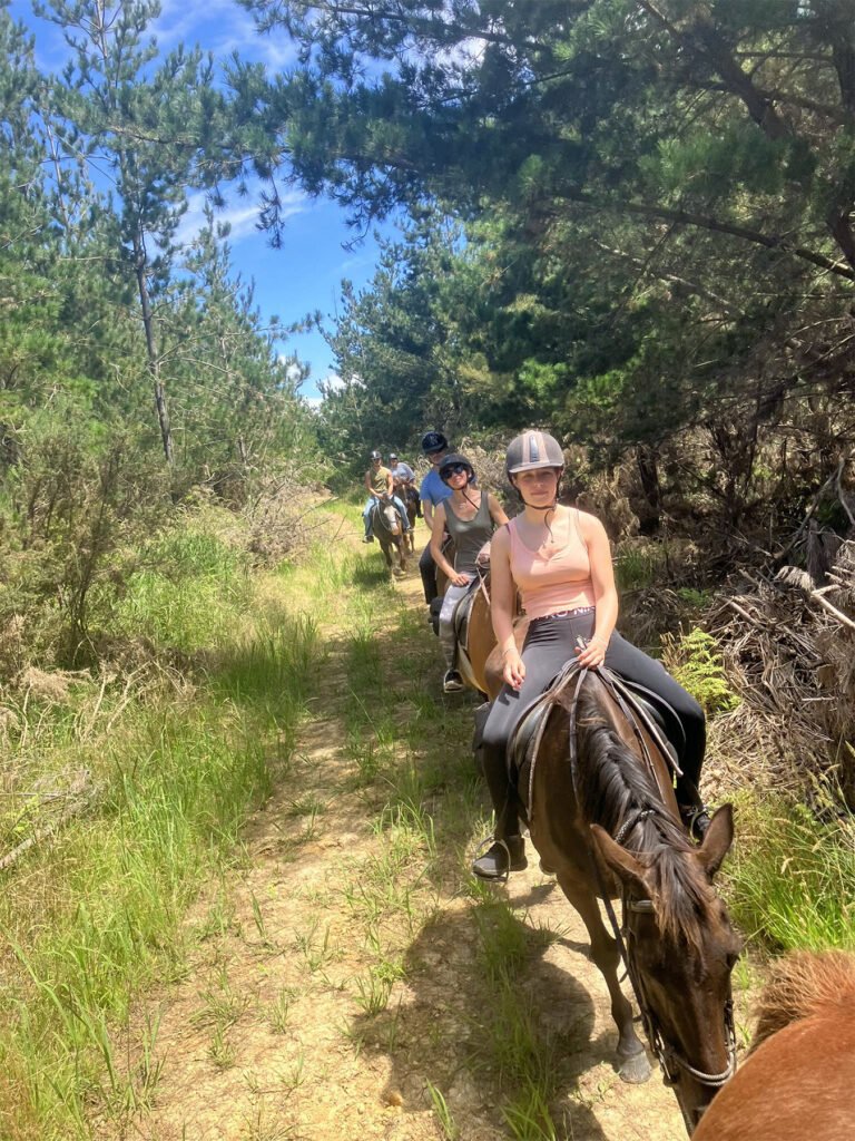 waitangi forest horse trek 768x1024