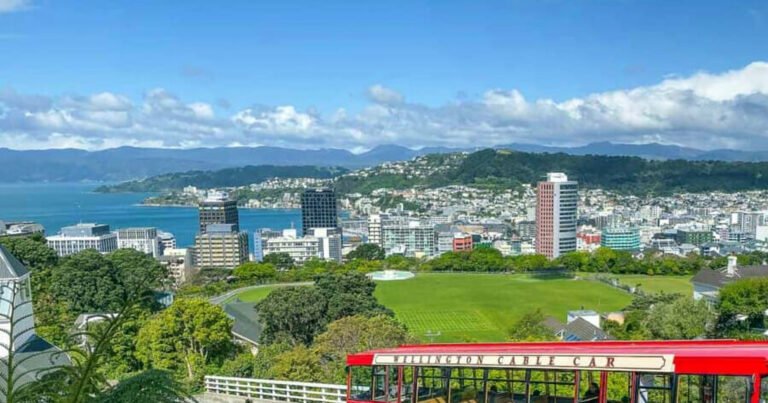 wellington shuttle services wellington city view 768x403