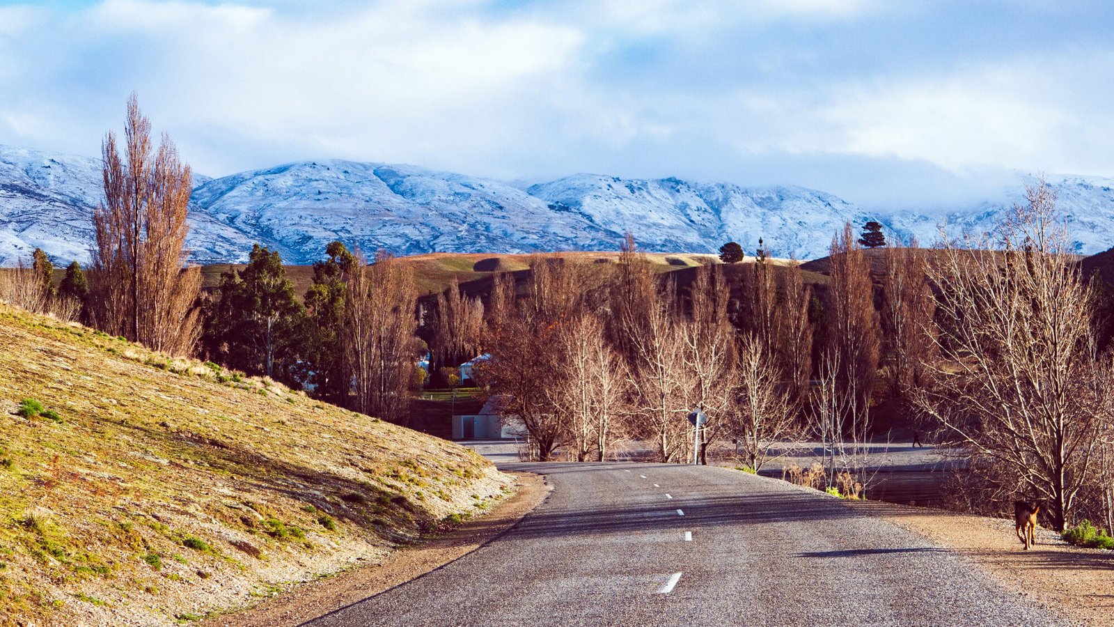 Scenic road entering Cromwell with snow-covered hills in Central Otago