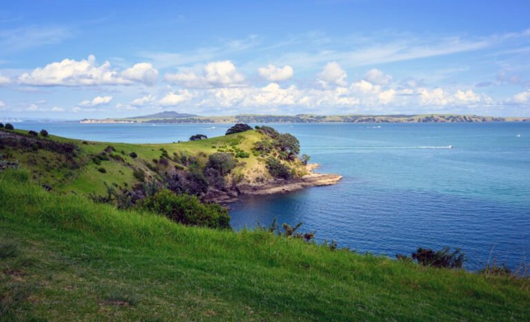 hauraki gulf coastline 768x467
