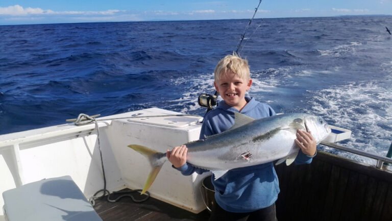 kingfish fishing charter hauraki gulf 768x433