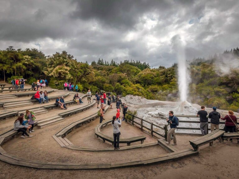 lady knox geyser rotorua geothermal tour 768x576