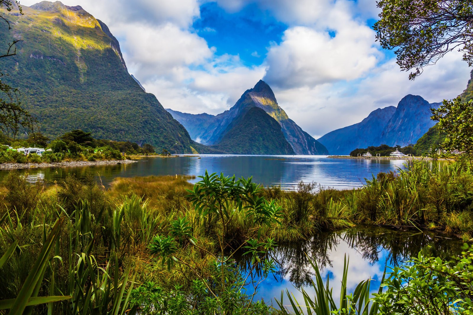 Milford Sound in Fiordland National Park surrounded by towering mountains