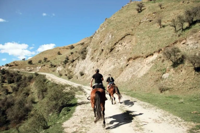 moke lake horse treks mountain trail 768x512