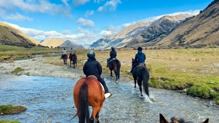 moke lake horse treks river crossing 768x431