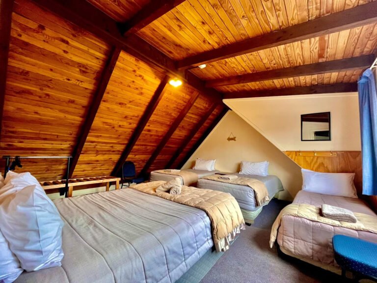 national park lodge family room 1 768x576