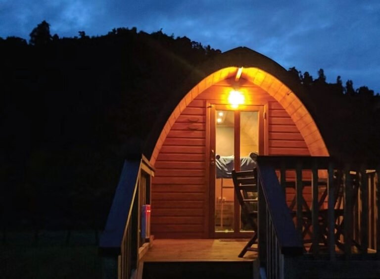 pod cabin rangitikei night 768x564