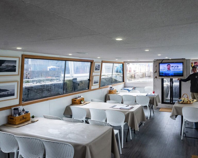 raglan boat charter interior 768x614