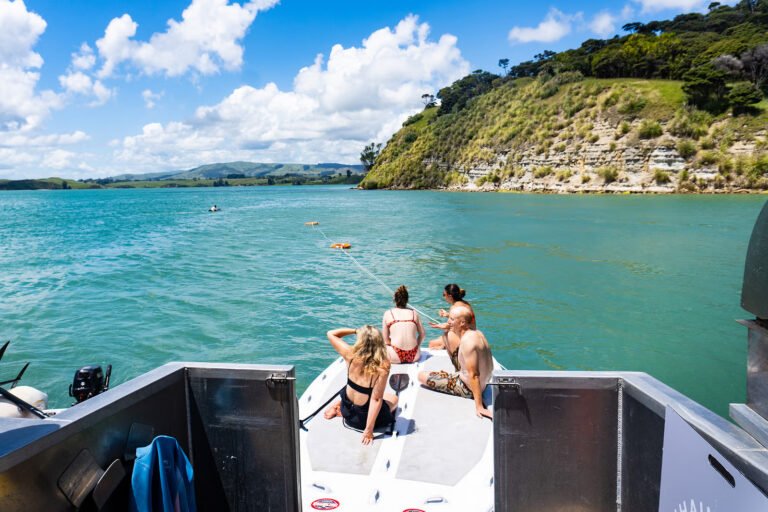 raglan private boat charter swimming 768x512