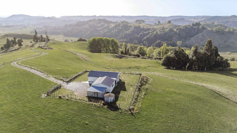rotowai hills farm stay holiday home waikato 768x432