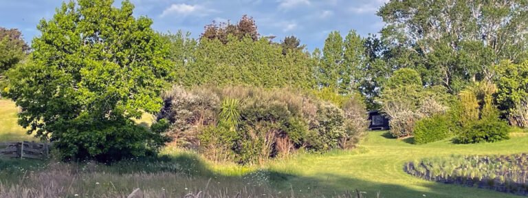 tauhou matakana accommodation gardens 768x288