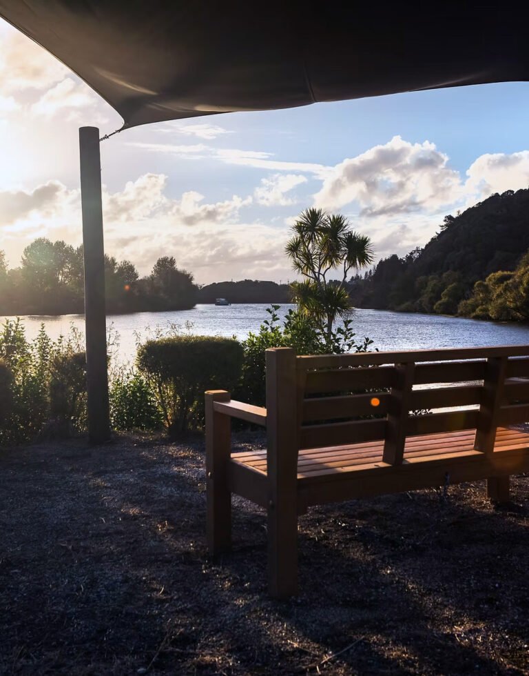 waikato river riverside seating 768x980