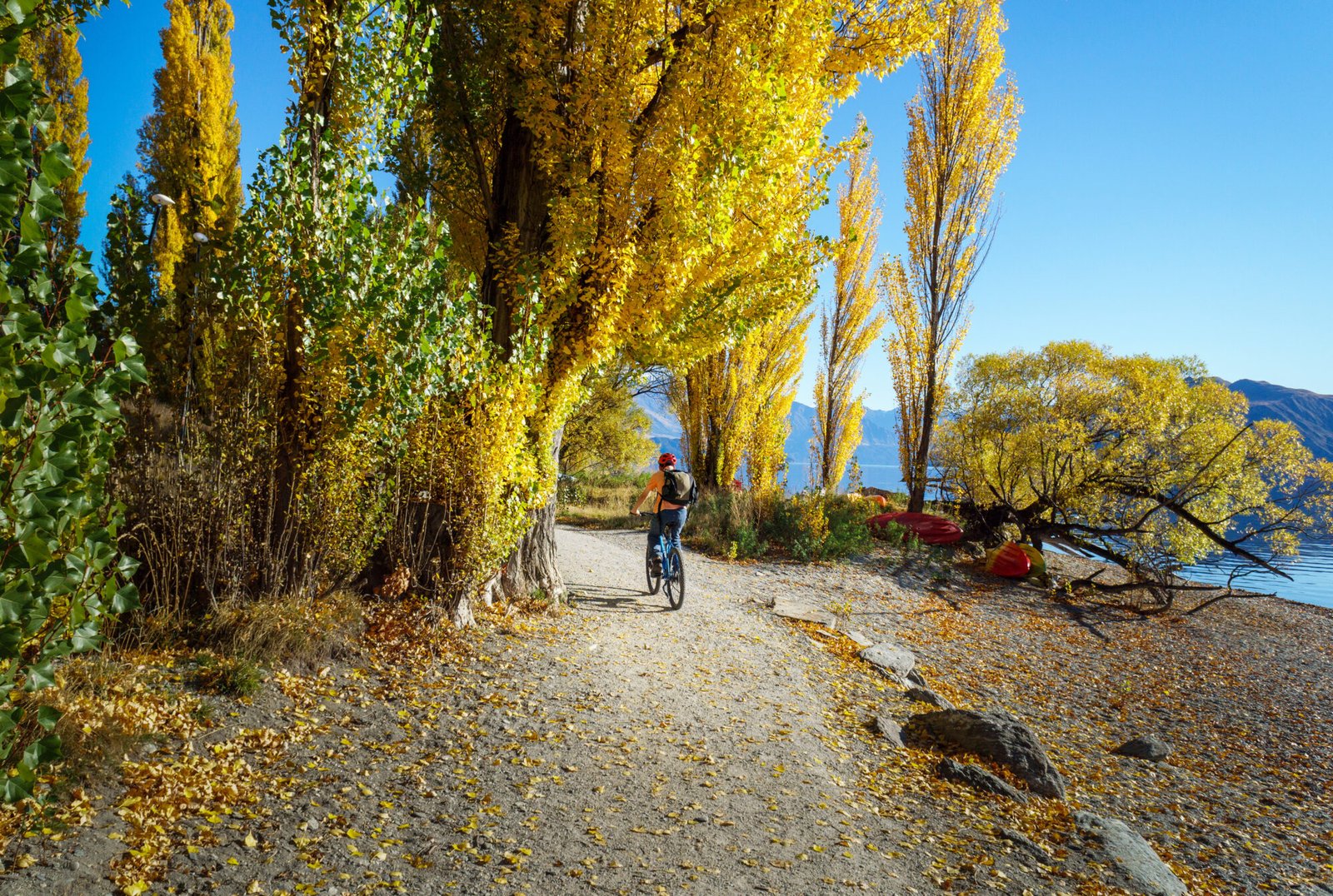Cyclist enjoying the Lake Wanaka waterfront trail during autumn