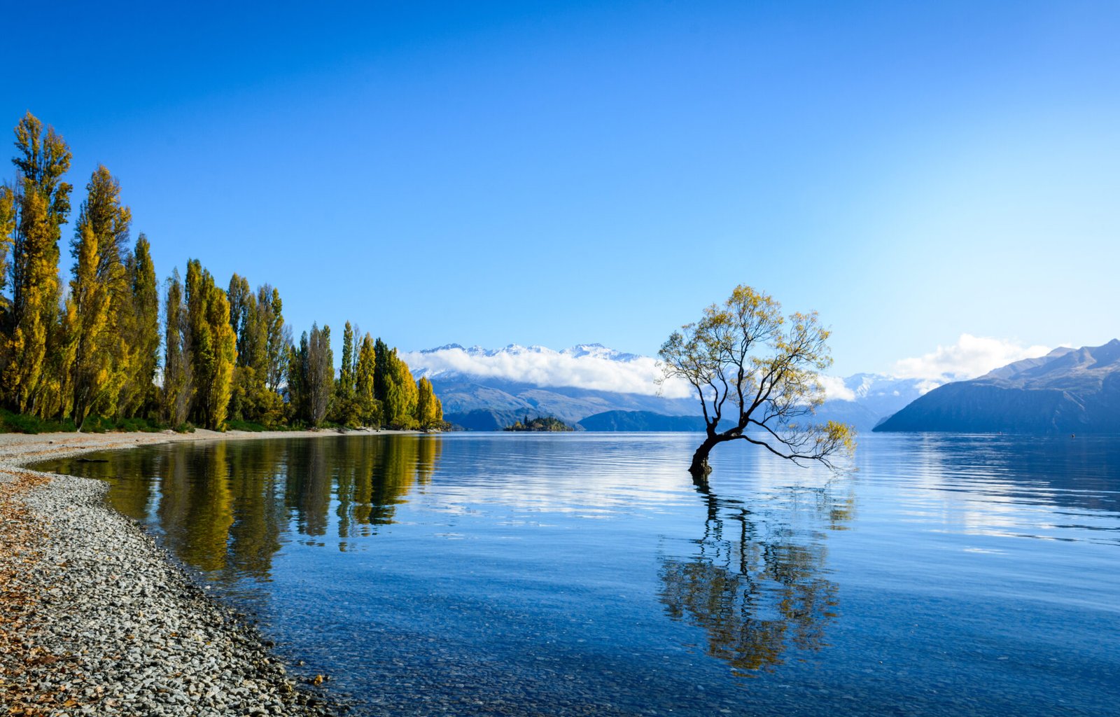 The famous Wanaka Tree beside Lake Wanaka on a crisp winter day