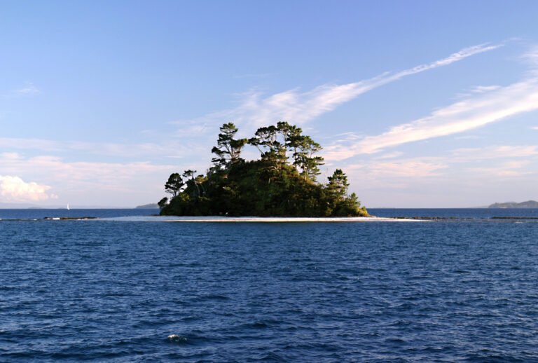 water taxi to hauraki gulf islands 768x518