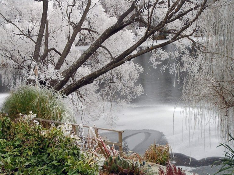 winter landscape near pitches store ophir 768x576