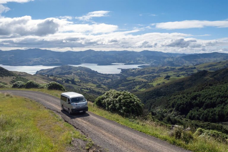akaroa history nature tours seventh generation 768x512